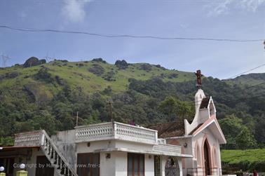 Munnar, Tea Plantations_DSC5830_H600